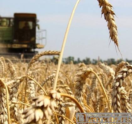 Два кореновских фермера осуждены за мошенничество с субсидиями