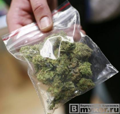 Кореновские полицейские изъяли у жителя с.Братковское более 58 килограммов марихуаны