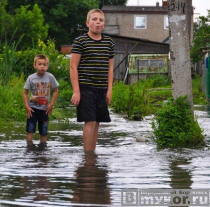 В результате сильных ливневых дождей в Кореновске 2 июня 2016 года подтоплены около 50 домовладений