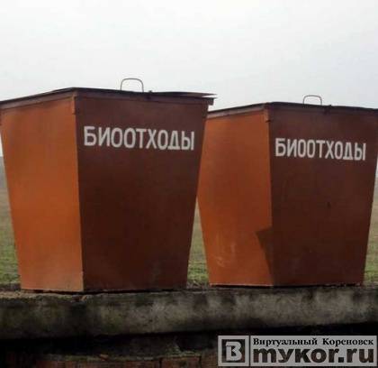 Опасные биологические отходы нашли в Новоберезанском