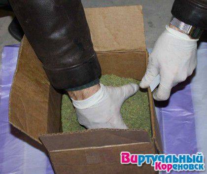Кореновские наркополицейские нашли на чердаке у местного жителя 13 кг марихуаны