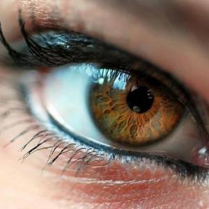 Глаз человека. Интересные факты