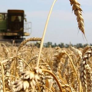Два кореновских фермера осуждены за мошенничество с субсидиями