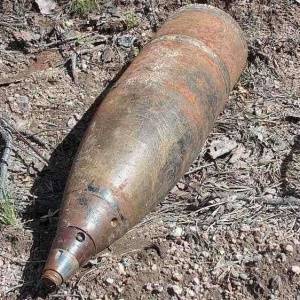 В лесополосе между Мирным и Свободным нашли артиллерийский снаряд времён ВОВ