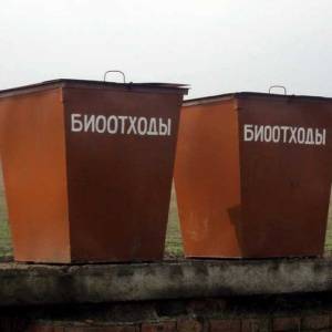 Опасные биологические отходы нашли в Новоберезанском