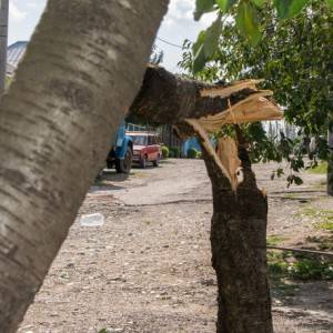 Ураганный ветер 24 сентября 2014 года вызвал значительные разрушения в Кореновске