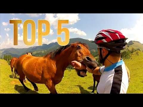 #Top 5 Crazy Horses | JukinVideo Top Five