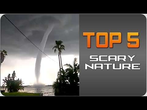 #Top5 Scary Nature | JukinVideo Top Five
