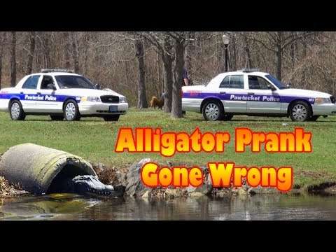 Alligator Prank Gone Wrong