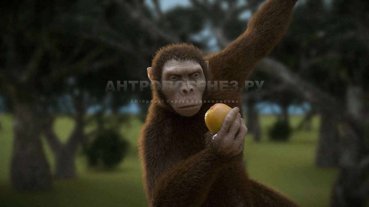 Работа над анимационным роликом "Эволюция от обезьяны к человеку"