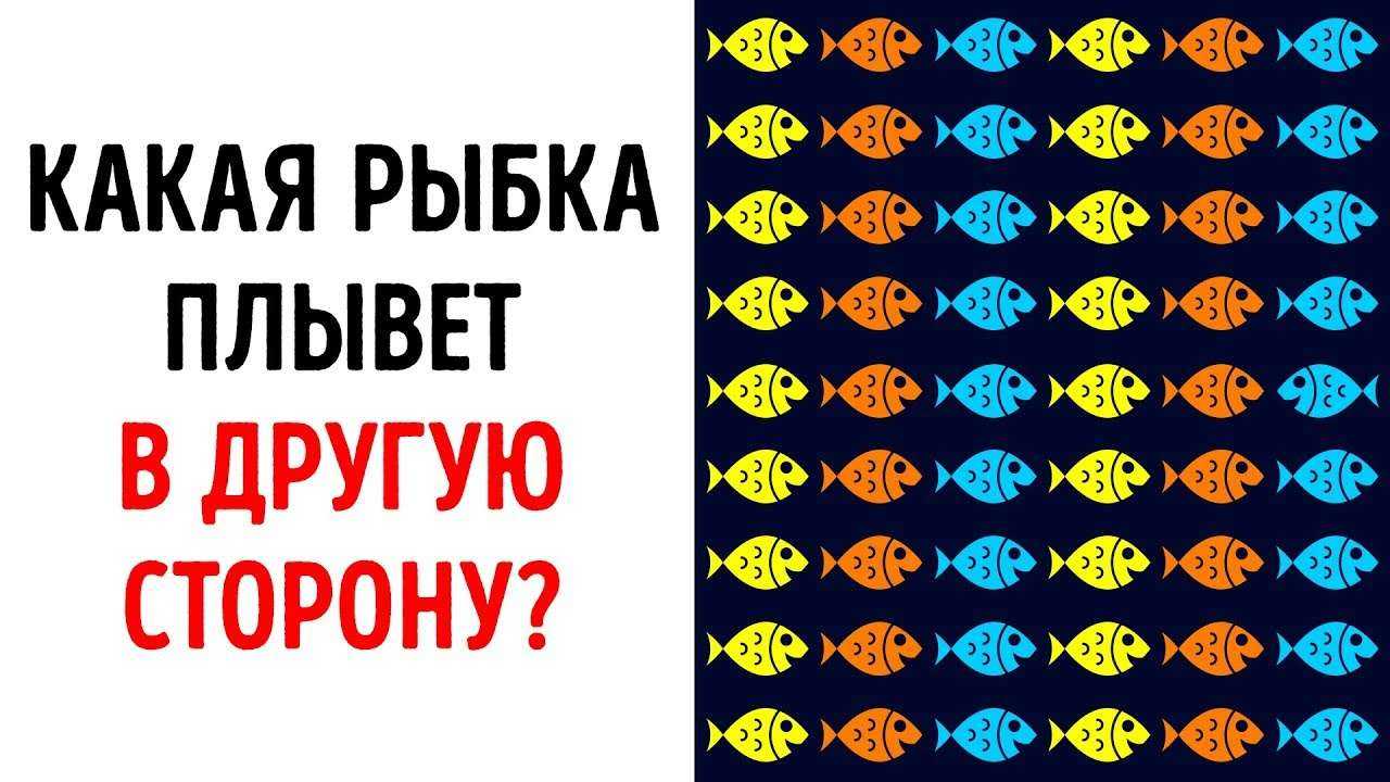 9 Задачек с Подвохом, Которые Проверят Остроту Вашего Зрения