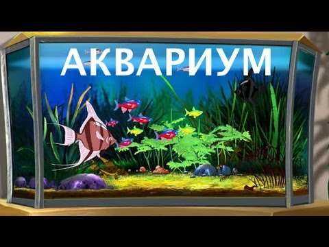 Уроки тётушки Совы. Мои домашние питомцы (Аквариум)