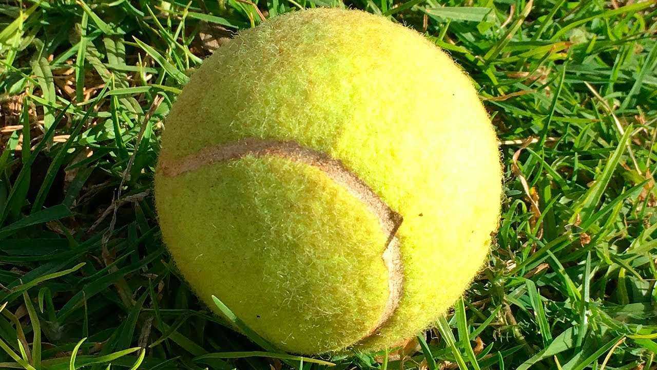 Если вы Нашли Теннисный Мячик, Не Поднимайте Его!