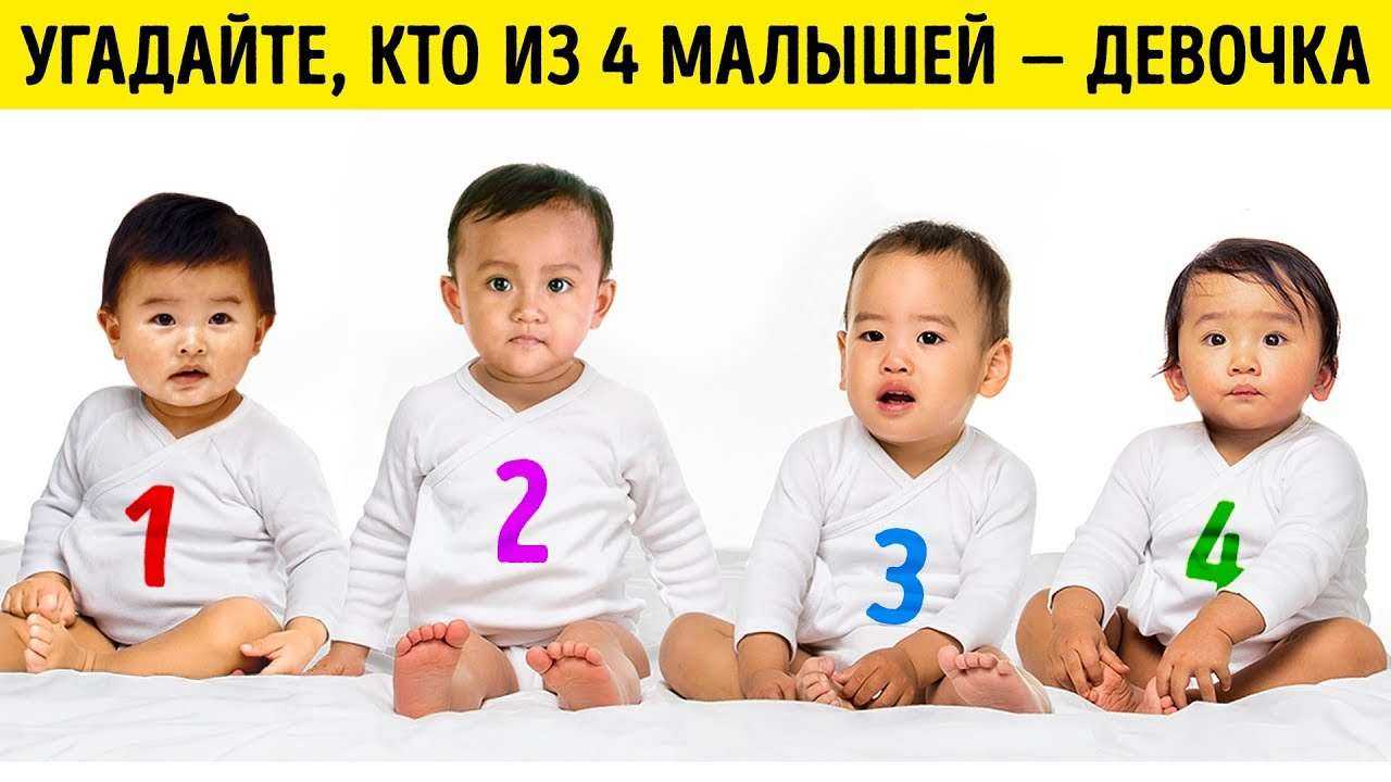 Психологический Тест: Кто из 4 Малышей — Девочка?