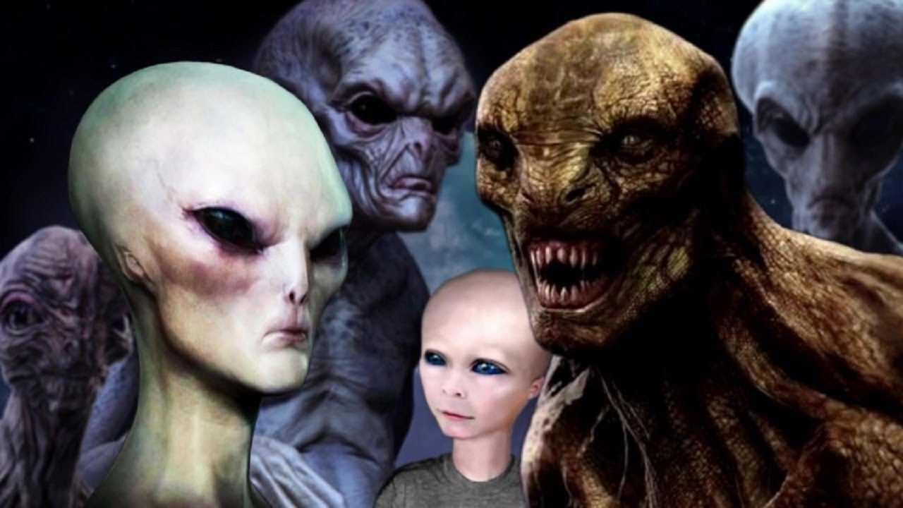 5 инопланетных рас, которые контактируют с Землей прямо сейчас! Кому они доверились!