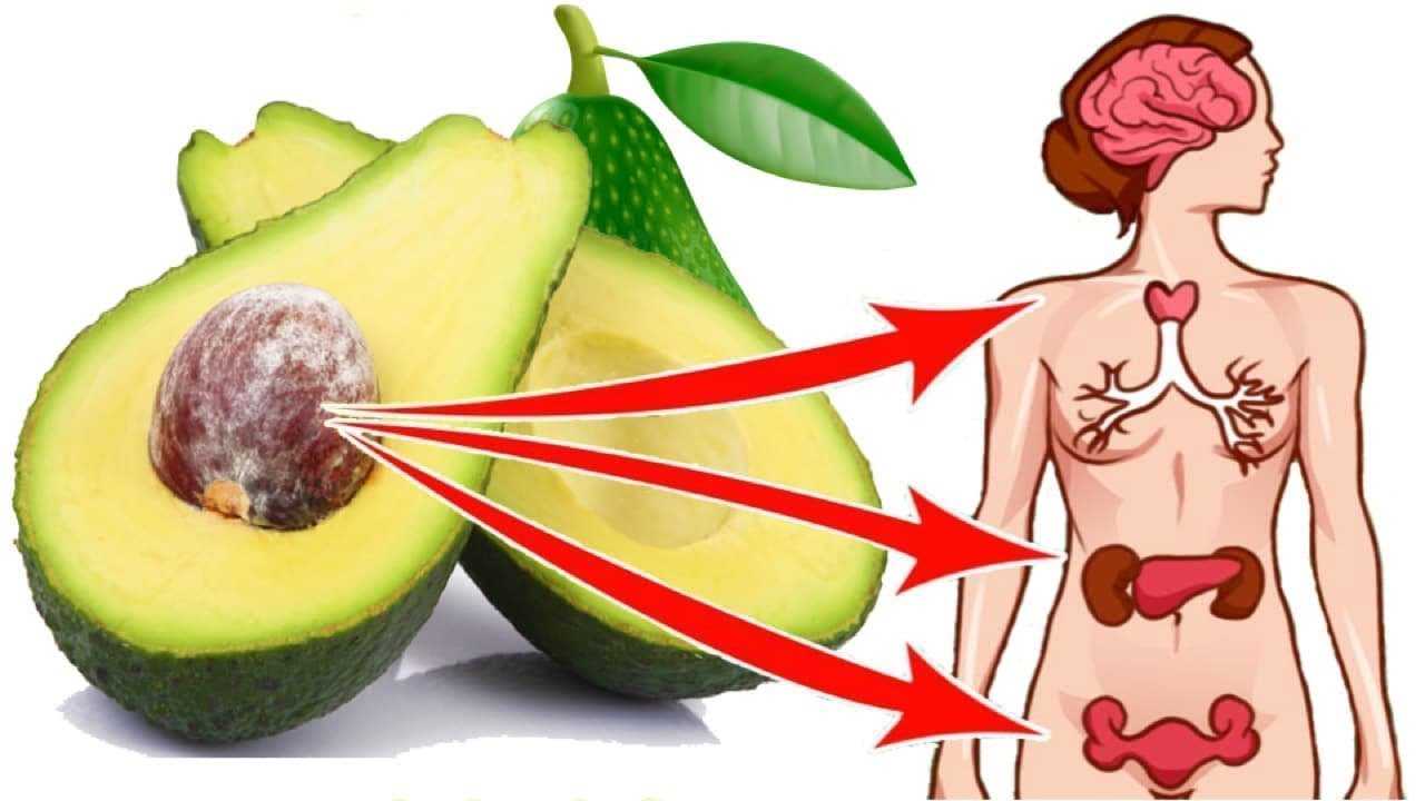 Что будет если съедать одно авокадо каждый день на протяжении месяца
