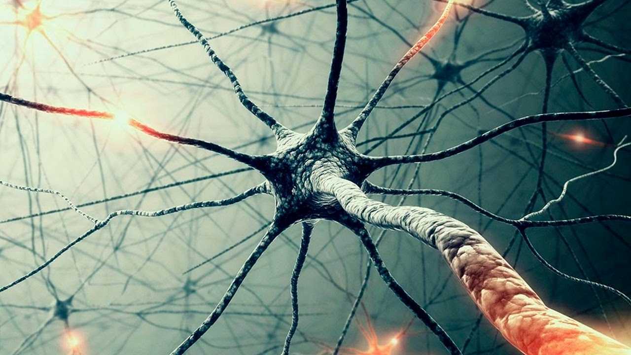Массовая МАНИПУЛЯЦИЯ сознанием -  зеркальные нейроны