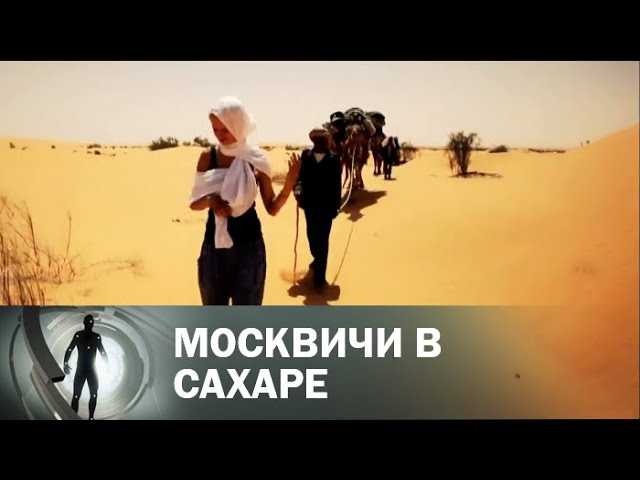 Москвичи в Сахаре