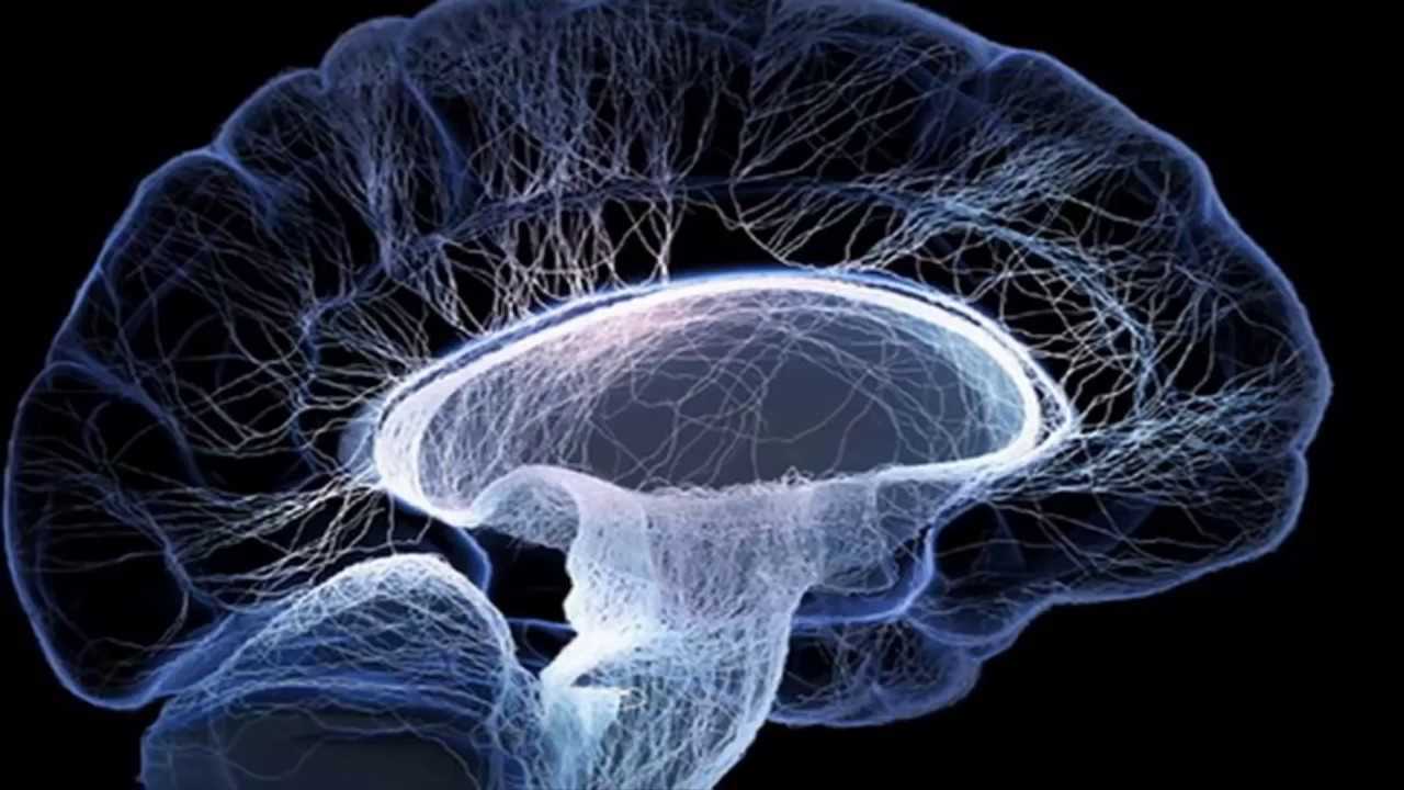 Очищение сосудов мозга: уникальные методики