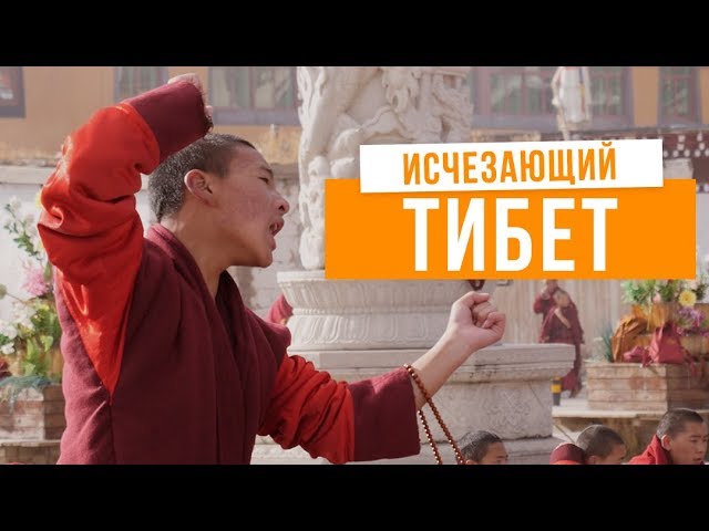 Интервью с Буддой | Монахи против властей - борьба за свободу Тибета