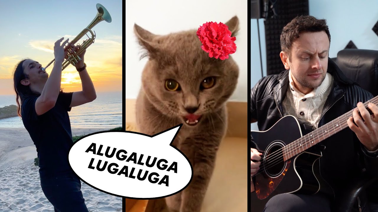 The Kiffness x Alugalug Cat 2.0 - Please Go Away (Flamenco Edit) ft. Spaul