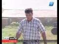 Тракторист из Кореновского района выступит на «Бизон-трек-шоу»