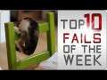 #Top10 Jukin Fails of the Week | Friday, February 21st, 2014