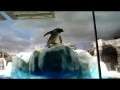 FUNNY Penguins Compilation 2014