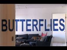 Butterfly Illusion! (Butterflies the movie)