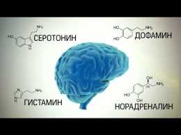 Микробы, управляющие поведением человека