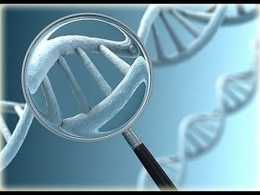 Подробный анализ ДНК поставил ученых в затруднительное положение.Чем МУЖЧИНА отличается от ЖЕНЩИНЫ