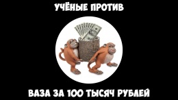 Учёные против - Ваза за 100 тысяч рублей.