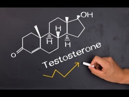 Что есть,чтобы заниматься с екс ом 3 раза в день,и где больше всего тестостерона