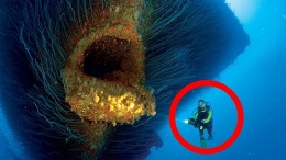 Ученые готовы раскрыть тайны самой глубокой в мире Марианской впадины. Подводные цивилизации!