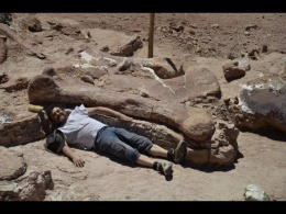 ЭТОГО не может быть.Кости 8-ми метрового человека найдены в слое,которому 10 млн.лет.АРТЕФАКТЫ