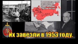 Их завезли в 1953 году. (Л.Д.О. 228 часть.)