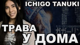 Ichigo Tanuki - Трава у дома ("Земляне" по-японски)