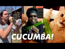 Macka B X The Kiffness - Cucumba (Cucumber Rap) [Live Looping Remix]