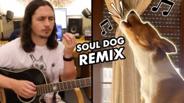 Soul Dog x The Kiffness - For Sam (Soulful Singing Dog Remix)