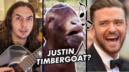 The Kiffness x Justin Timbergoat (Goat Sings Justin Timberlake Tune)
